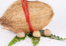 क्या है पूजा में नारियल का महत्व