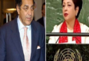 UN में मलीहा लोधी बनी पाक के लिए शर्मिंदगी का कारण, इमरान खान ने हटाया