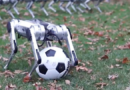 मिनी चीता रोबोट एक सेकंड में ले सकता है 30 फैसले, दबे पैर चलने की है खूबी