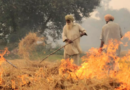 पंजाब सरकार ने पराली जलाने से रोकने के लिए उठाया बड़ा कदम