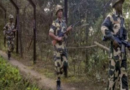 बांग्लादेशी नागरिक असम में एनआरसी के बाद लौट रहे हैं: बीएसएफ