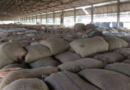 भारत के अफ्रीकी बाजारों में बढ़ा चीन का हस्तक्षेप, शुरू हुआ ‘Rice War’