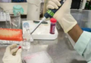 लाइस-फिल विद डीएनए-रिसील पद्धति, मलेरिया को नियंत्रण करने में करेगी मदद