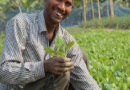 किसान सम्मान निधि योजना को लेकर हुआ ऐलान: बजट 2020