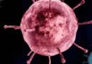 कोरोना वायरस के लिए लॉन्च हुआ इंश्योरेंस प्लान