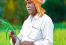 सरकार ने किसानों की मदद के लिए लॉन्च किया Kisan Rath App
