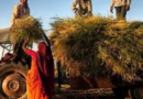 कृषि उपज को मंडी तक पहुंचने के लिए लांच हुआ किसान रथ